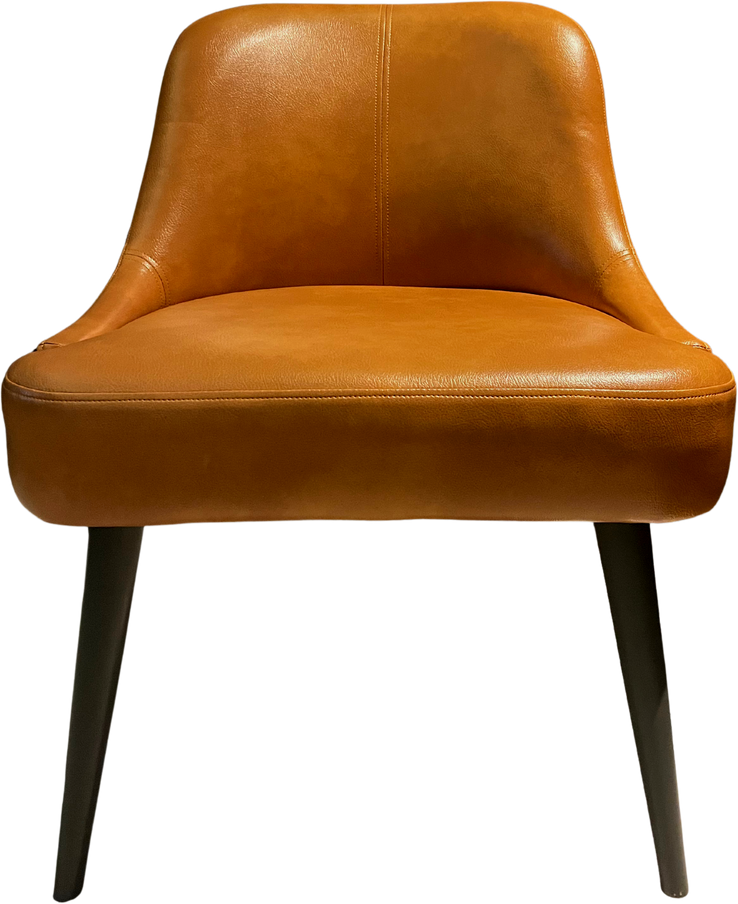 Brown Sofa Chair Isolated